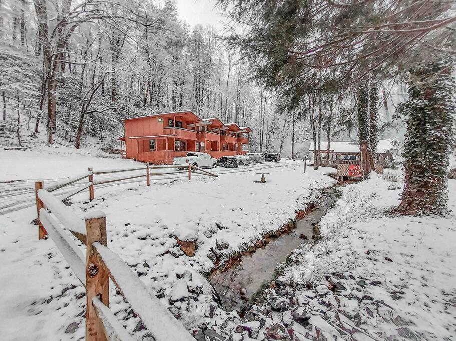 Mountain Cabin In Woods 3 Minutes To Helen #13 Buitenkant foto